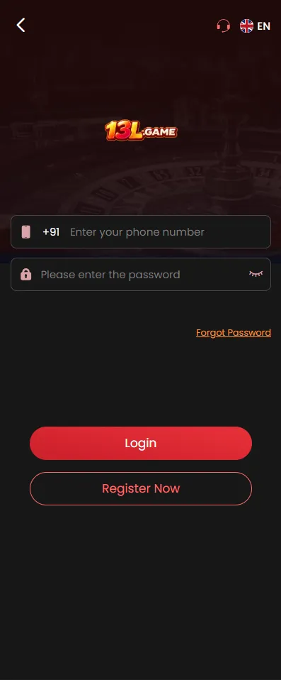 13L Game login screen on mobile phone
